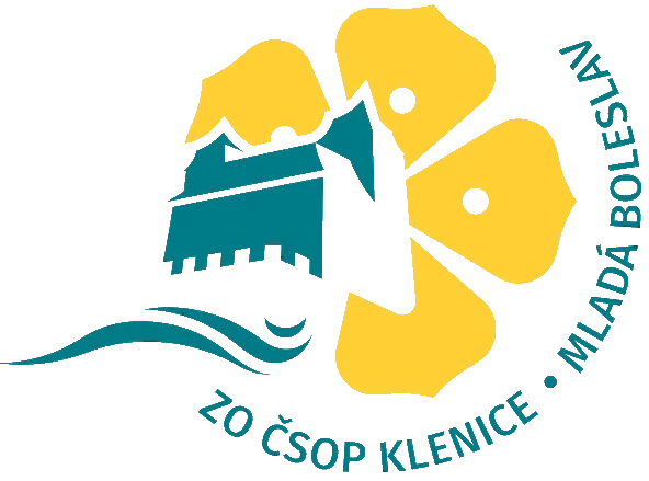 Primary Raster logo